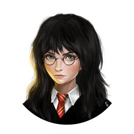 Przypinka Harry Potter